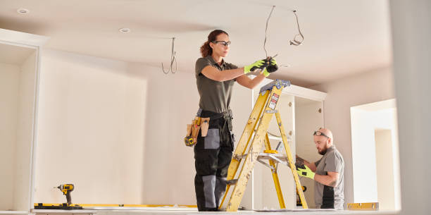 Best Electric Panel Repair  in Nicollet, MN